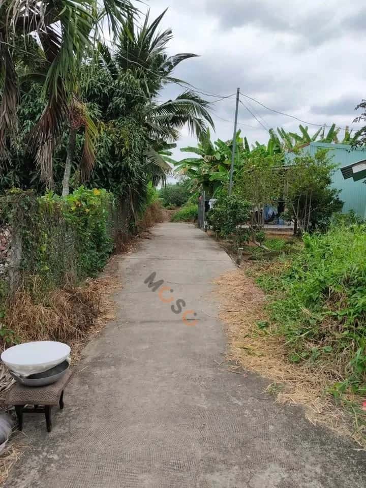 Hình ảnh nhà 3 Hình ảnh nhà 3